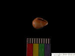 L_V22d6545 A16q80.1 T921 dM sh f55